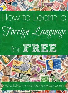 How to Learn a Foreign Language for FREE