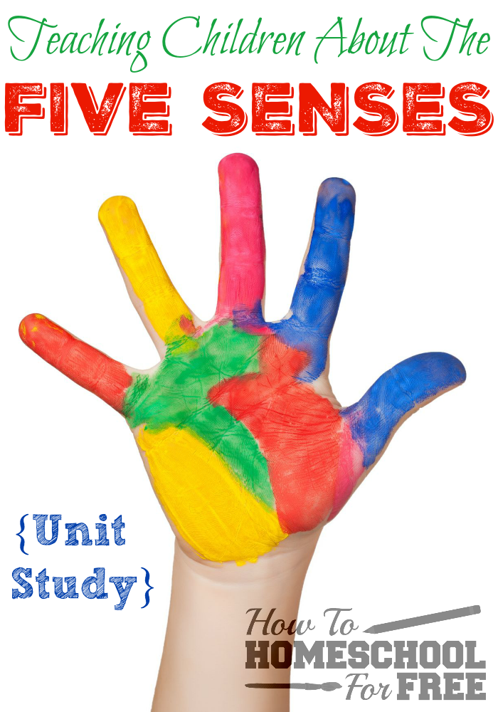 Teaching Children about the Five Senses Unit Study!