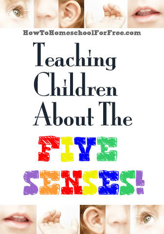 Teching Children About The Five Senses | www.howtohomeschoolforfree.com