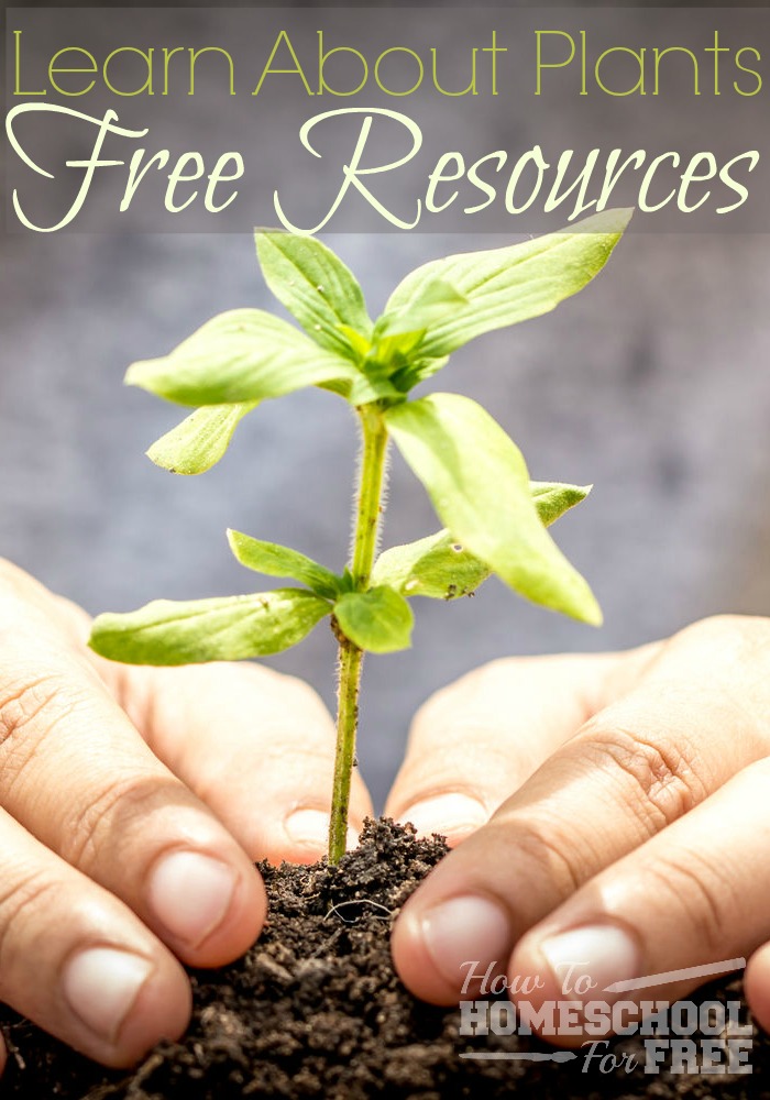 Check out these FREE Resources for learning about plants in your Homeschool! 