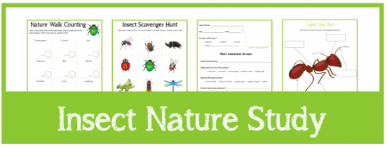 Free Insect Nature Study