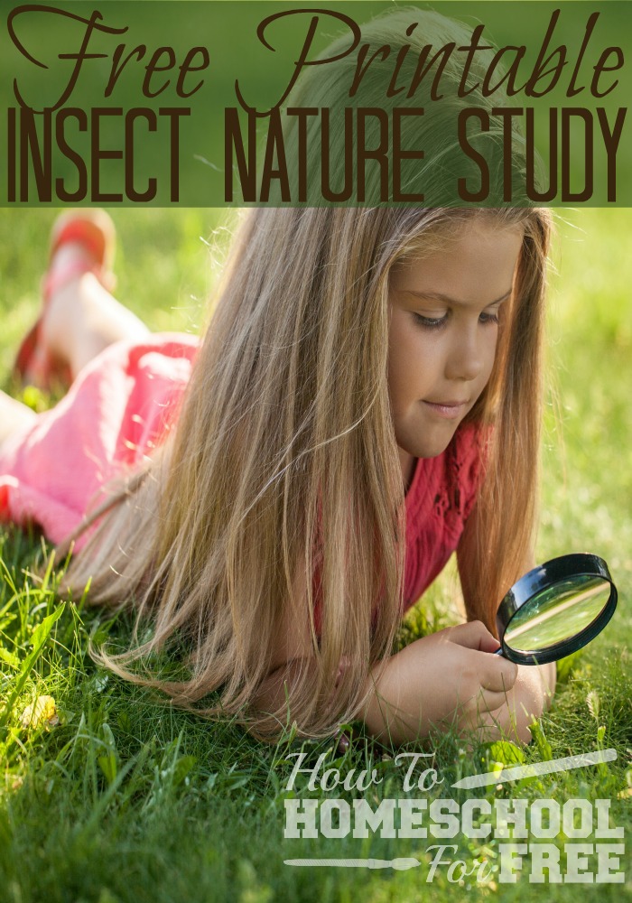 Here are some FREE printables to go with your Insect Nature Study!