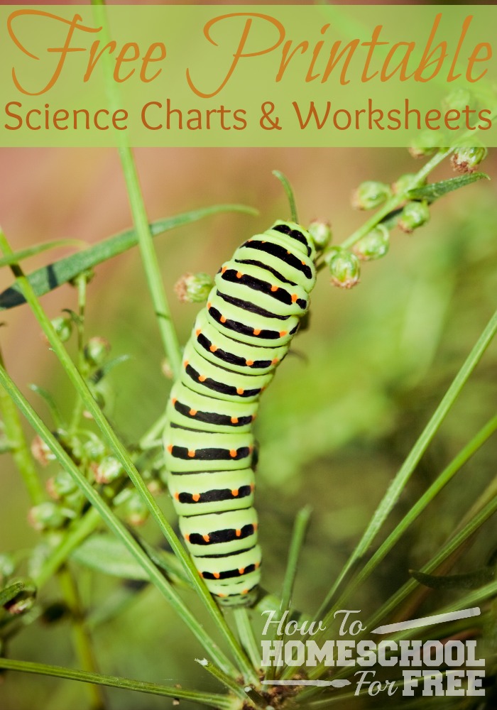 Print these really great science charts to go with your lessons!