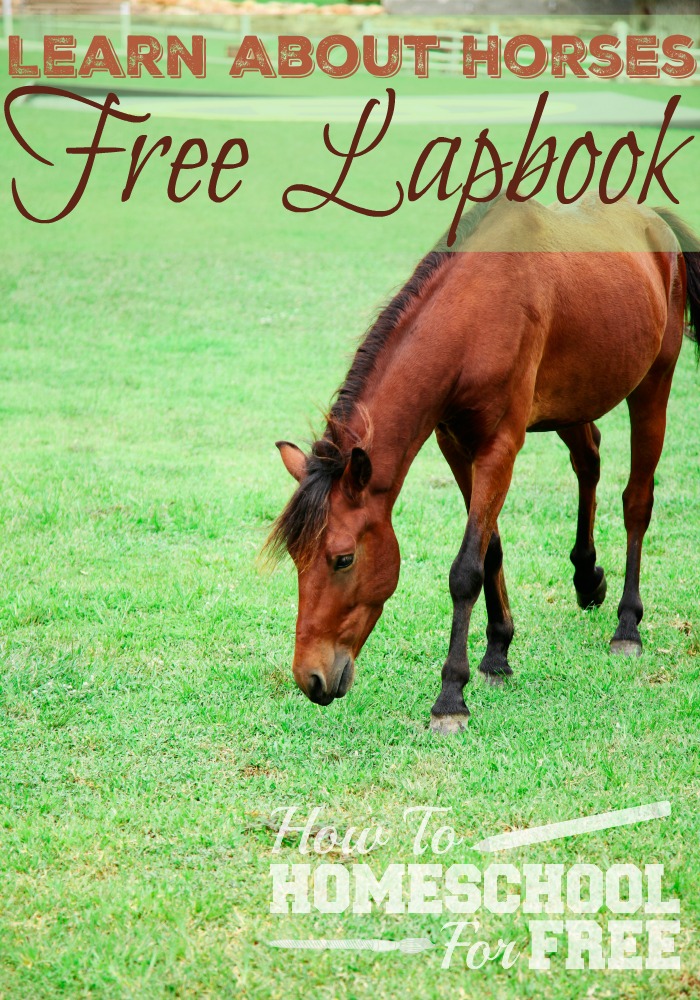 Learn all about horses with this FREE Lapbook! Includes word searches, notebooking pages, book studies, and more!