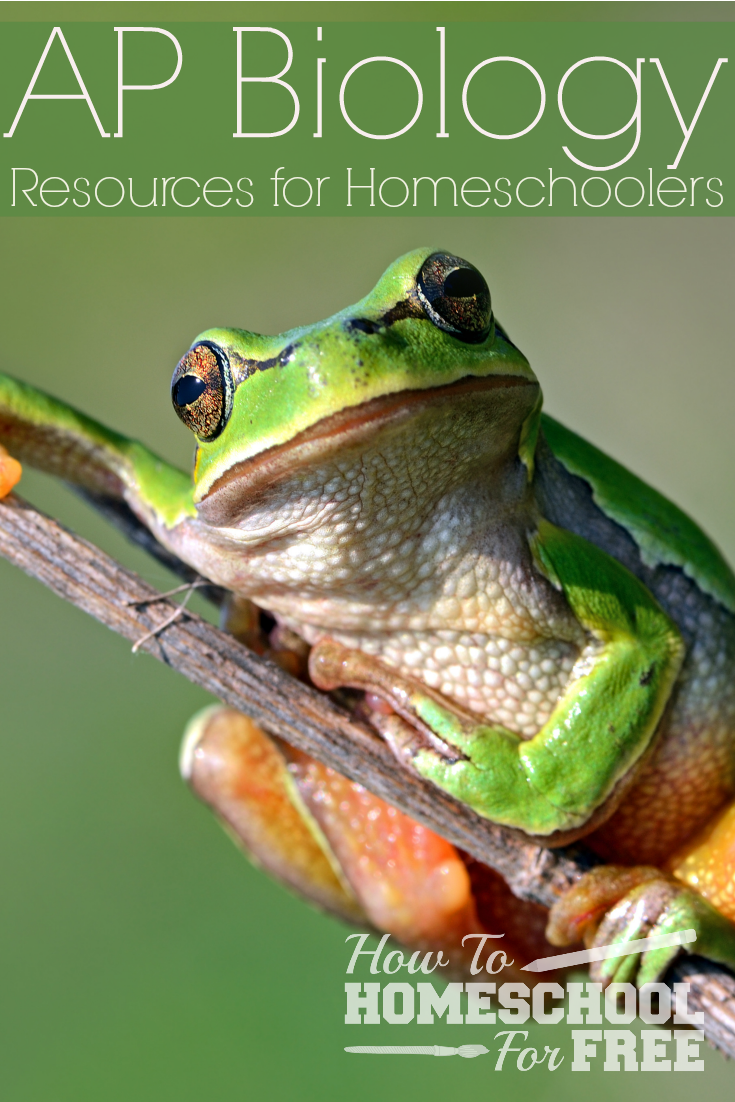 Enhance your AP Biology Learning with this FREE site!